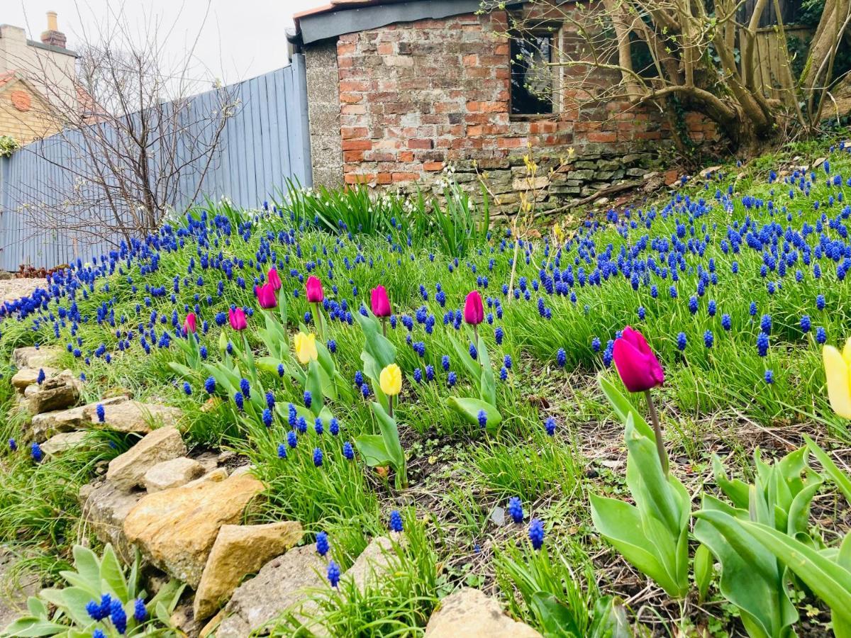 Cosy Cottage Four Miles From Lincoln City Centre Exteriör bild