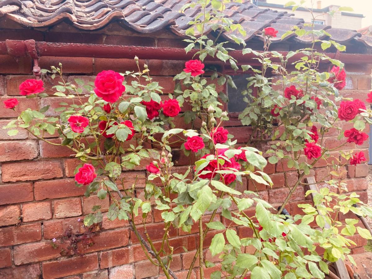 Cosy Cottage Four Miles From Lincoln City Centre Exteriör bild